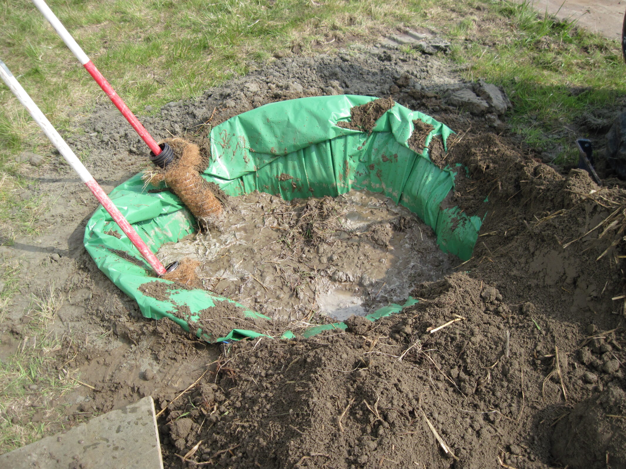 Fytoremediatie door H4A Groen