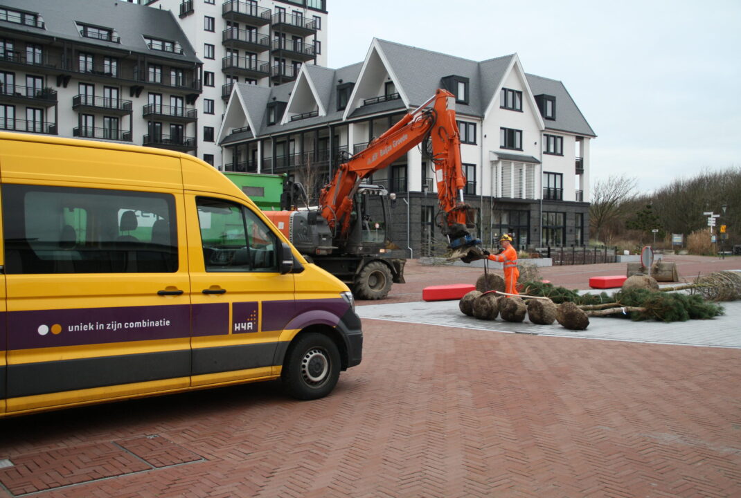 Medewerker H4A Groen plant nieuwe bomen aan in Cadzand