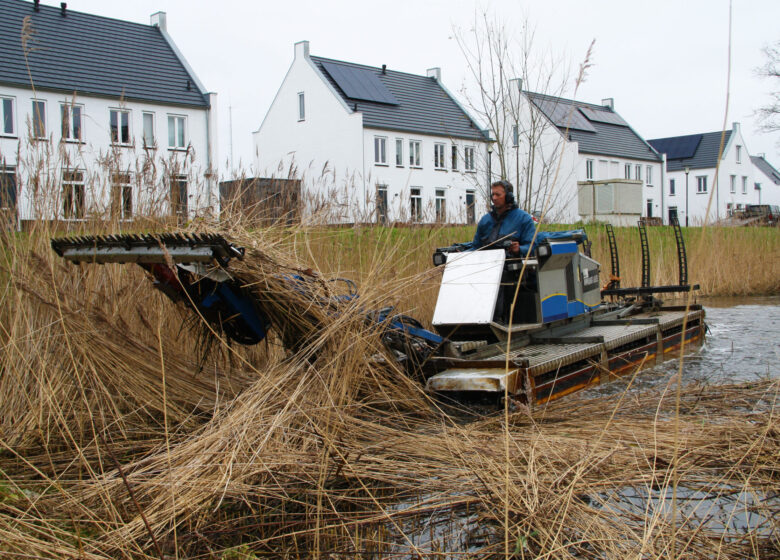 Uitmaaien waterpartijen in Hulst door H4A Groen