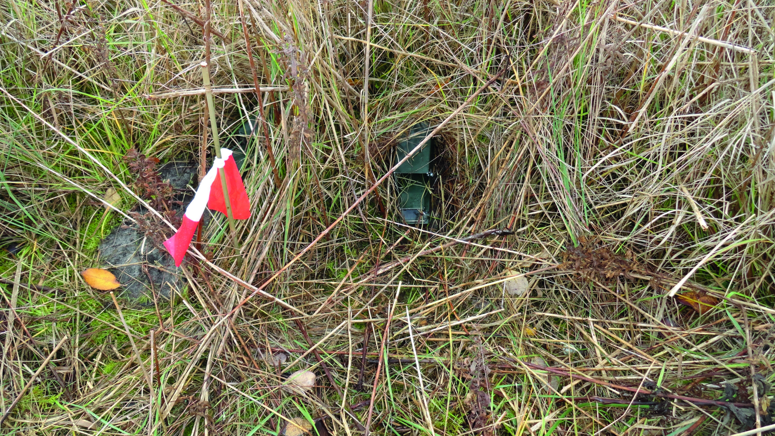 Duurzame oplossing voor flora & fauna door H4A Groen